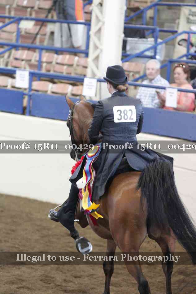 Proof Number 15R11_00429