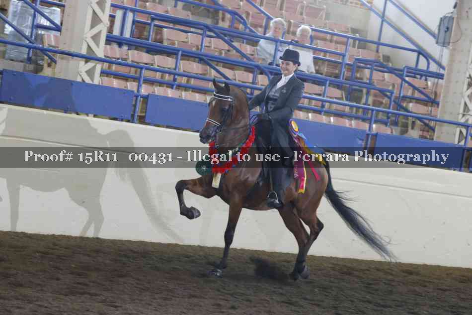 Proof Number 15R11_00431