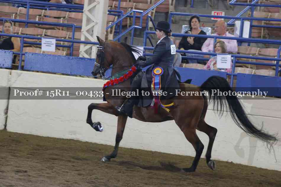 Proof Number 15R11_00433