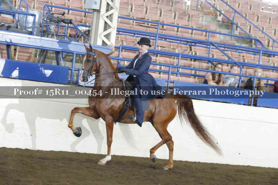Proof Number 15R11_00454