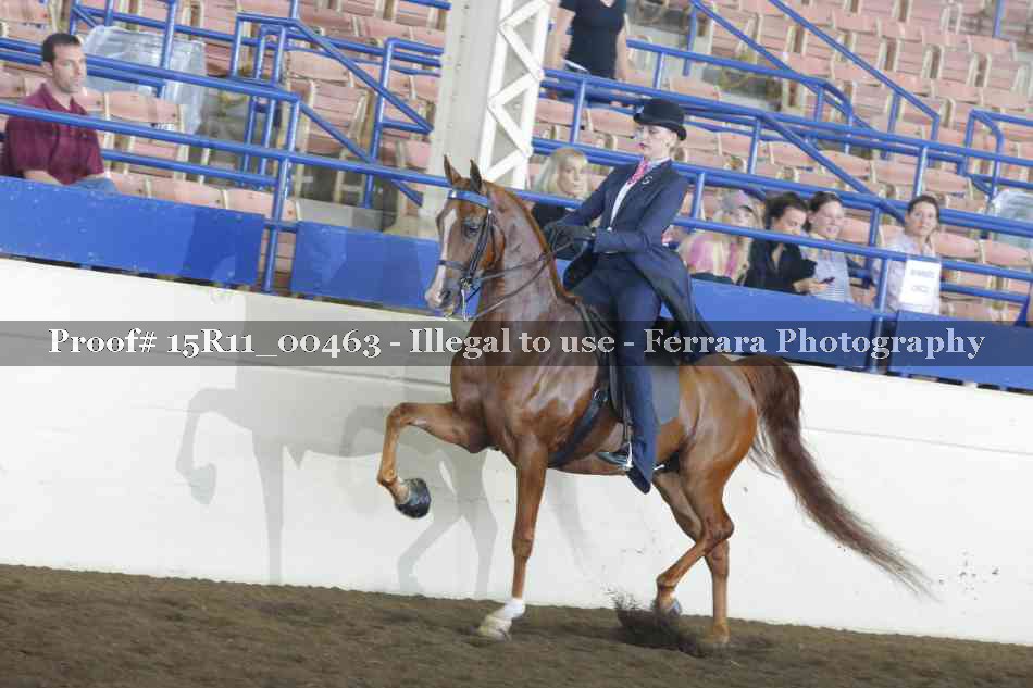 Proof Number 15R11_00463