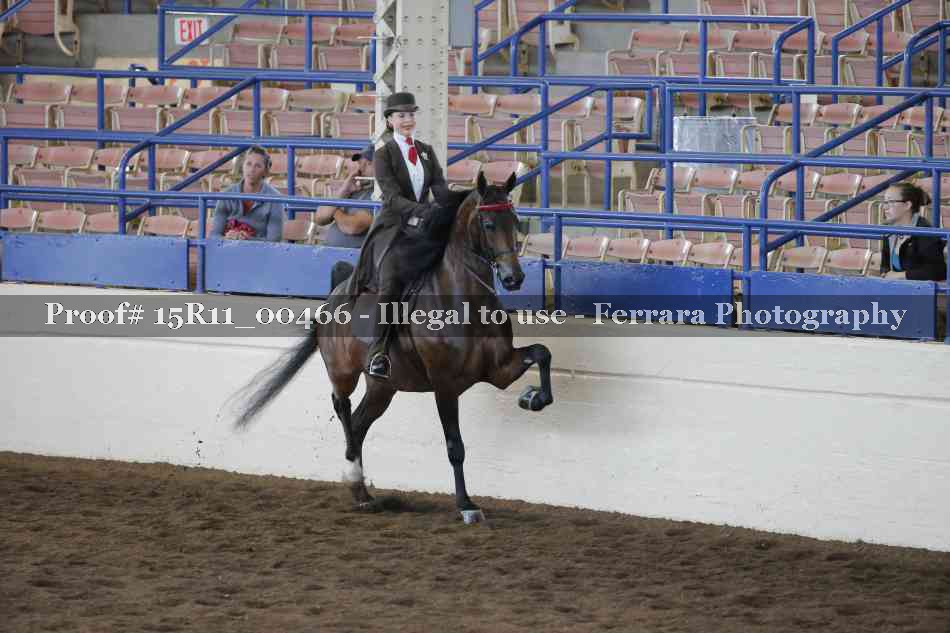 Proof Number 15R11_00466