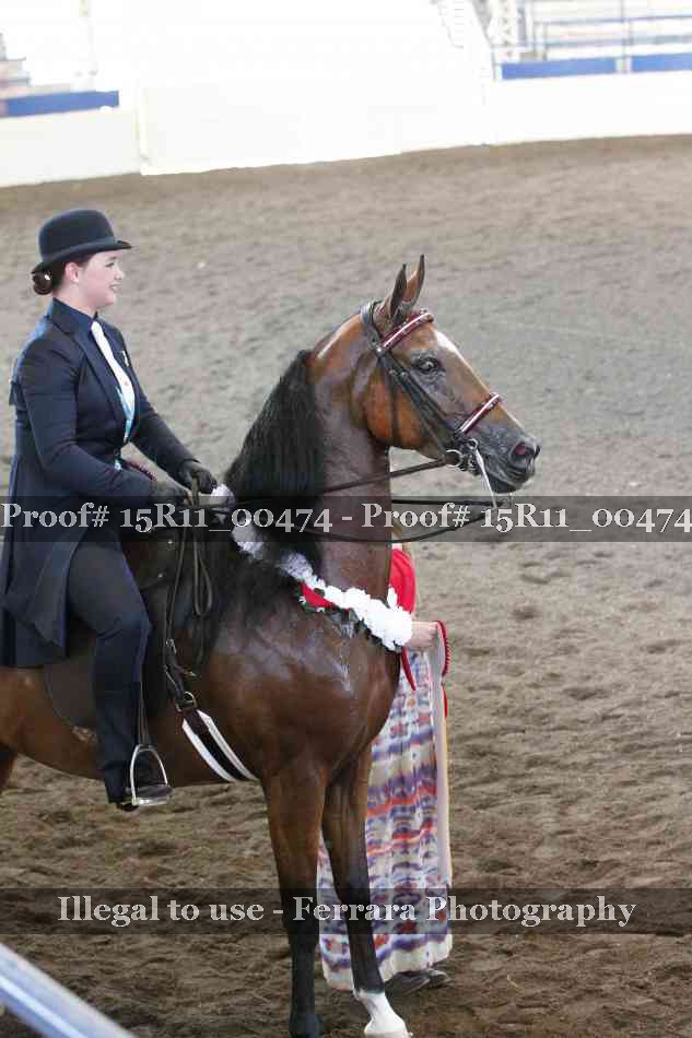 Proof Number 15R11_00474