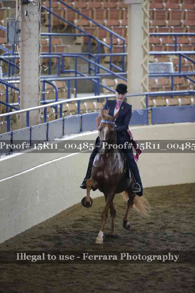 Proof Number 15R11_00485