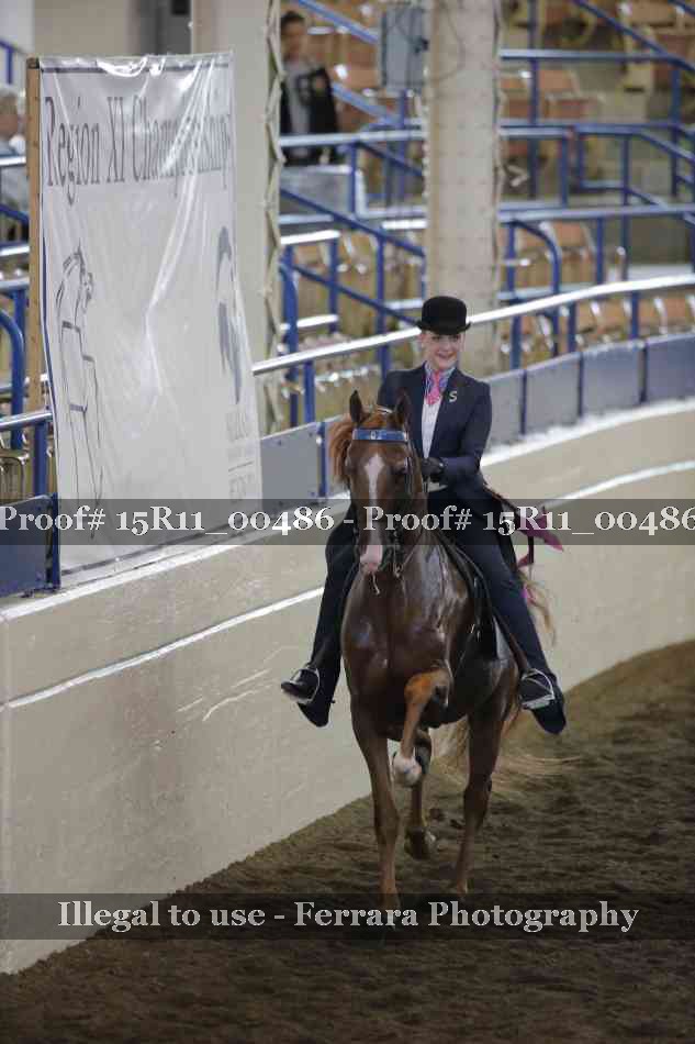 Proof Number 15R11_00486