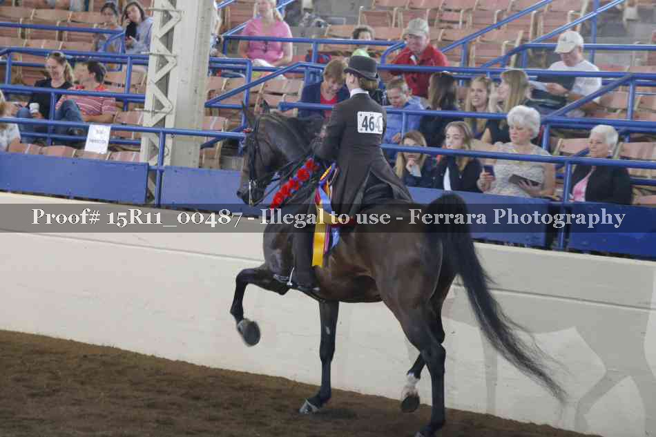 Proof Number 15R11_00487