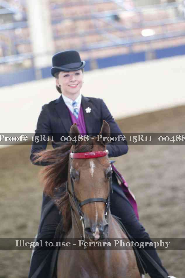 Proof Number 15R11_00488