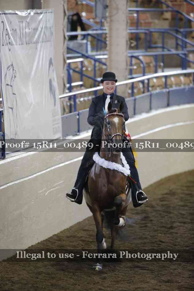 Proof Number 15R11_00489