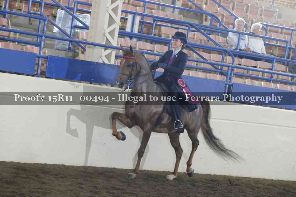 Proof Number 15R11_00494