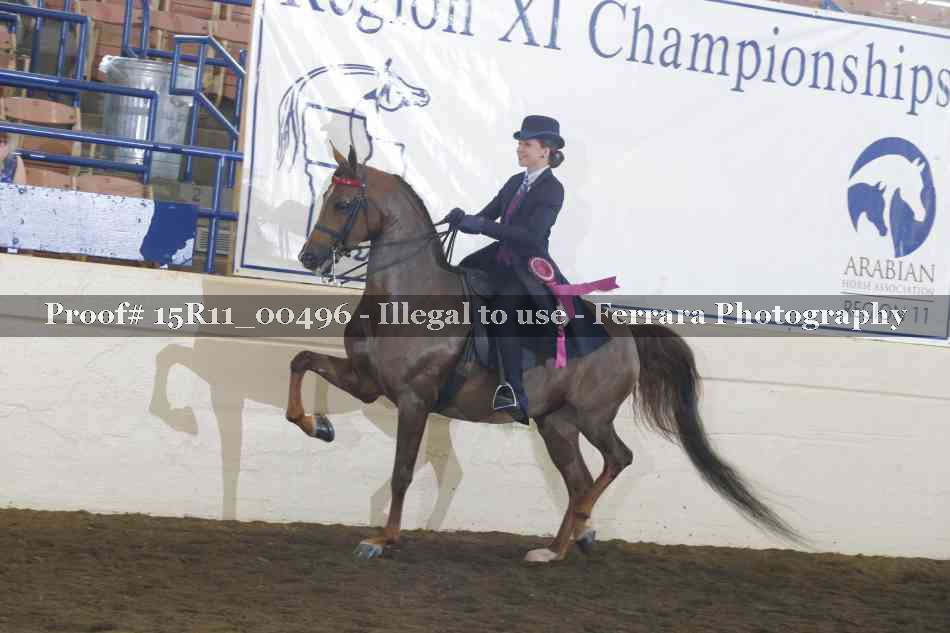 Proof Number 15R11_00496