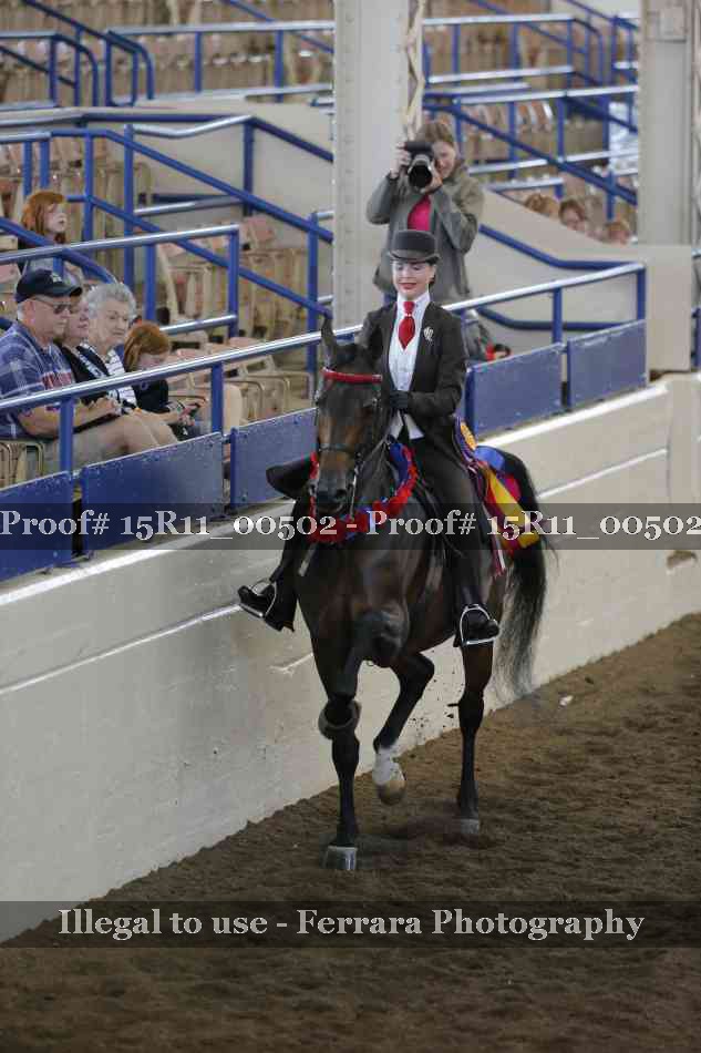 Proof Number 15R11_00502