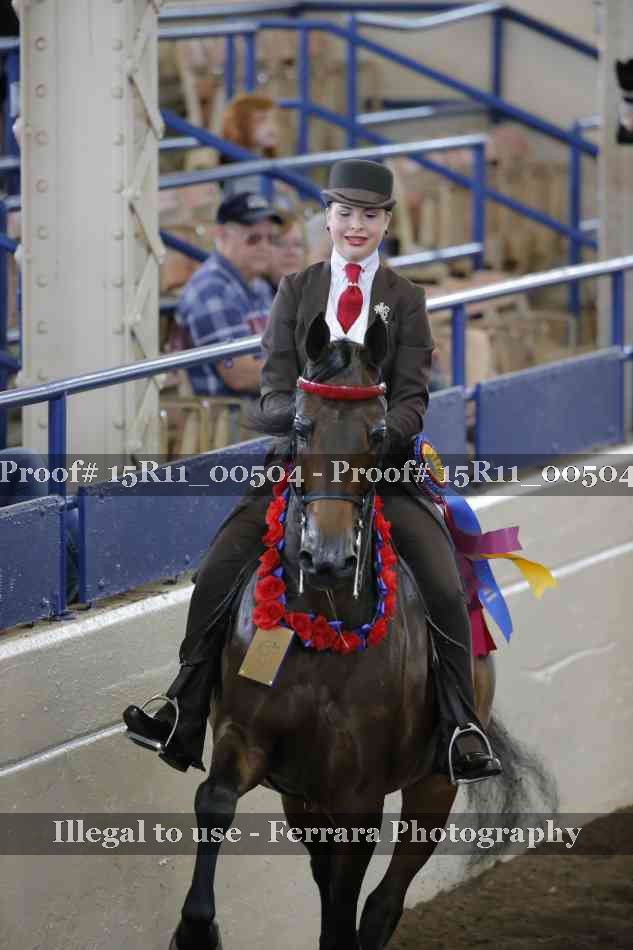 Proof Number 15R11_00504