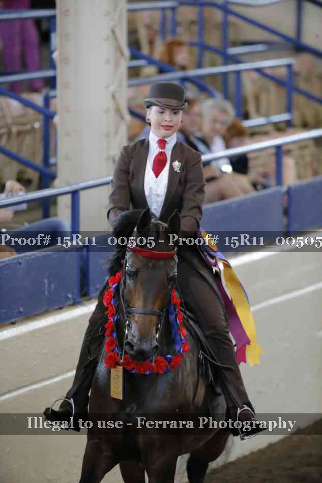 Proof Number 15R11_00505