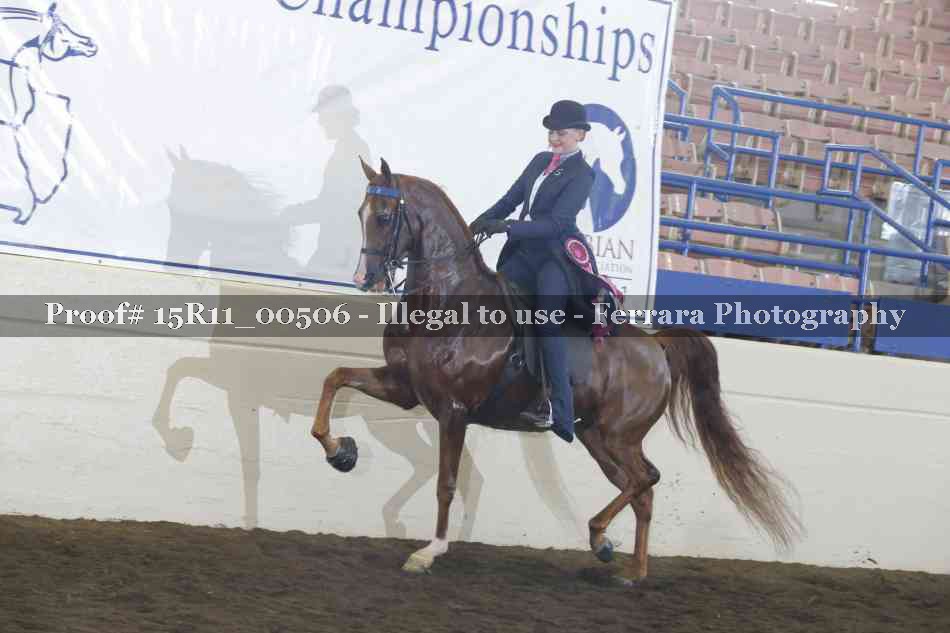 Proof Number 15R11_00506