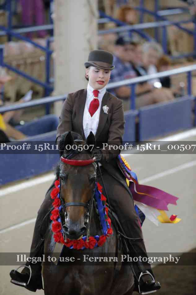 Proof Number 15R11_00507