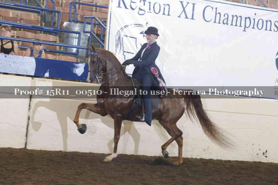 Proof Number 15R11_00510