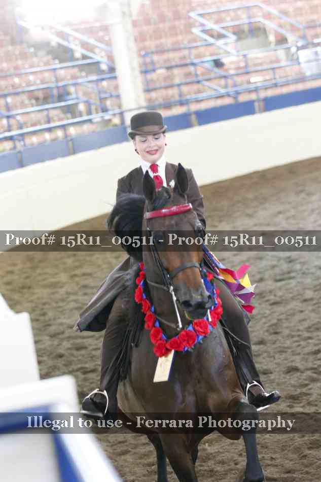 Proof Number 15R11_00511