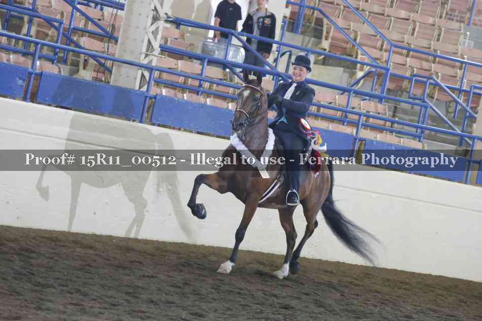 Proof Number 15R11_00512