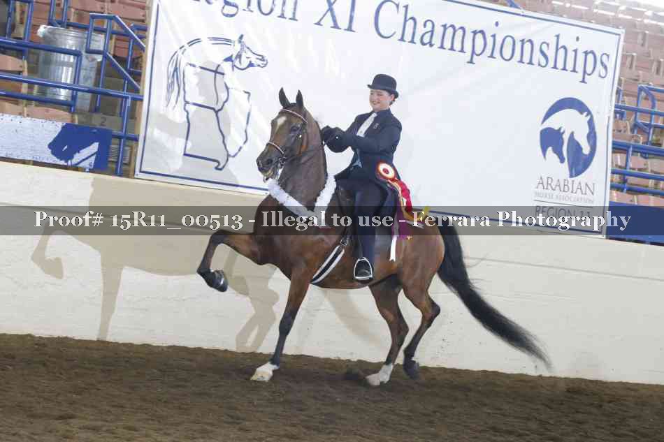 Proof Number 15R11_00513