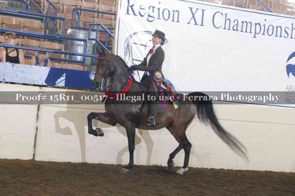 Proof Number 15R11_00517