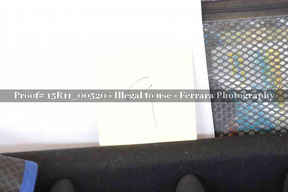 Proof Number 15R11_00520