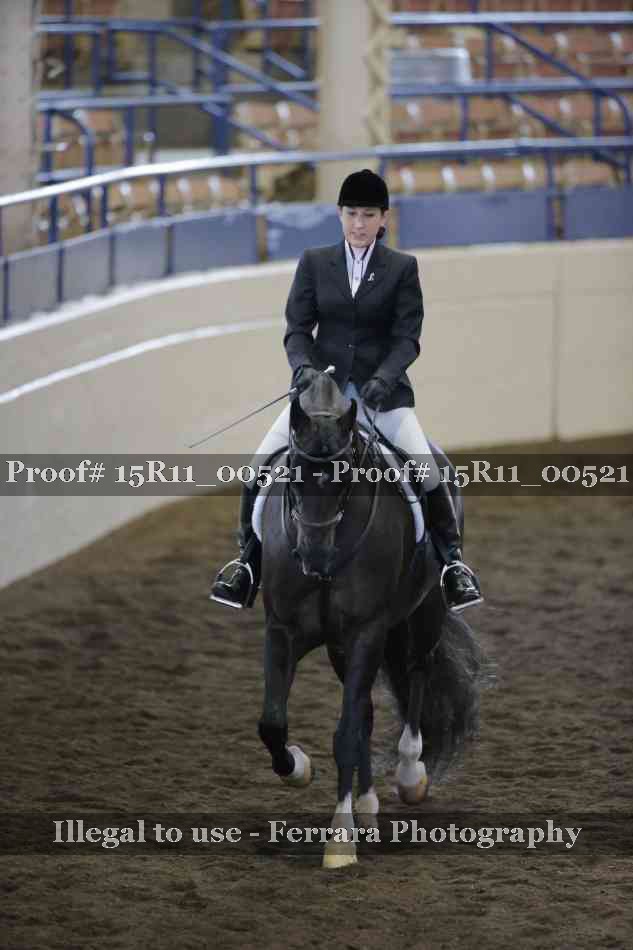 Proof Number 15R11_00521