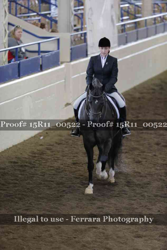 Proof Number 15R11_00522