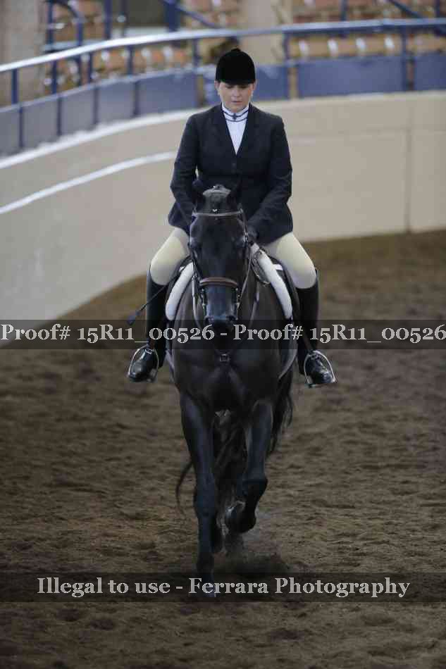 Proof Number 15R11_00526