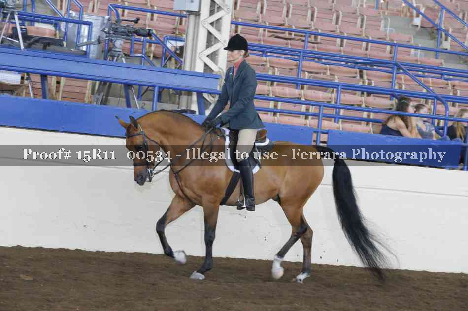 Proof Number 15R11_00534