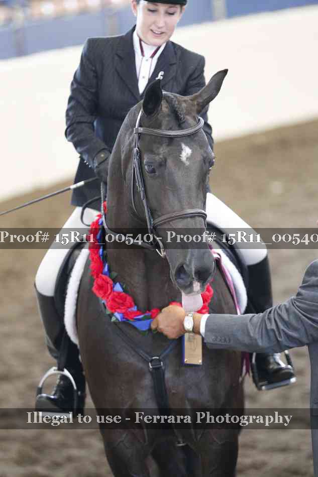 Proof Number 15R11_00540