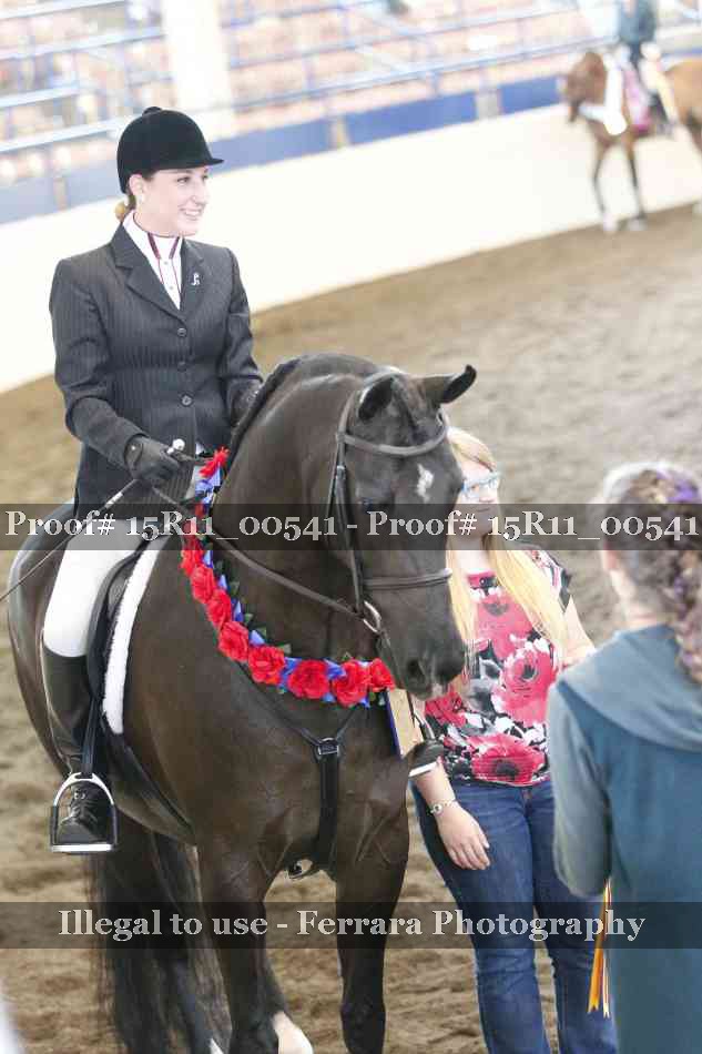 Proof Number 15R11_00541