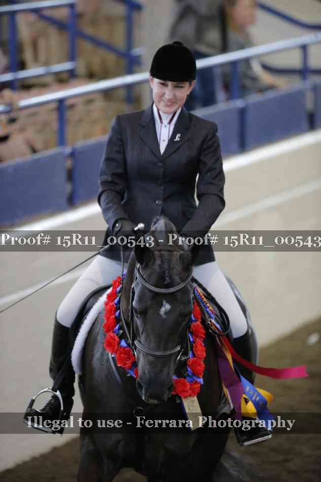 Proof Number 15R11_00543