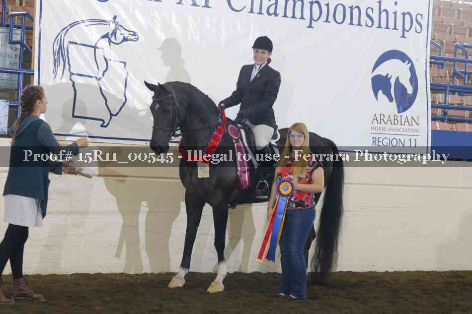 Proof Number 15R11_00545