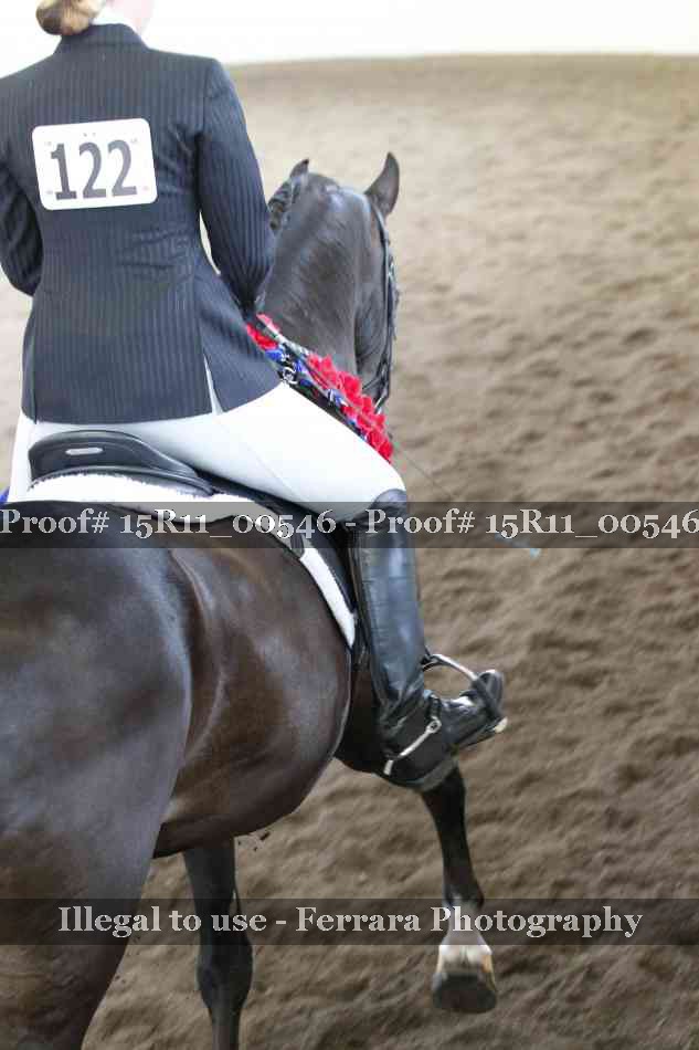 Proof Number 15R11_00546