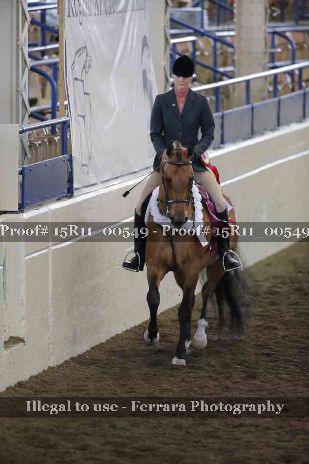 Proof Number 15R11_00549