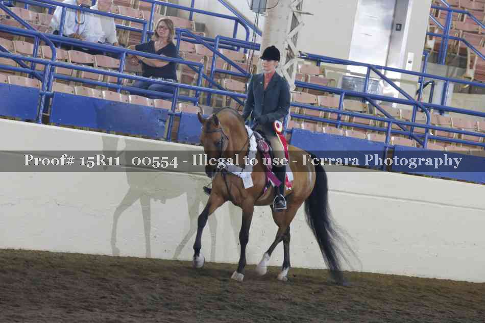 Proof Number 15R11_00554