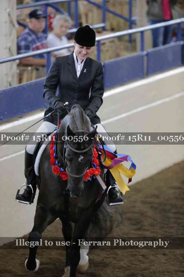 Proof Number 15R11_00556