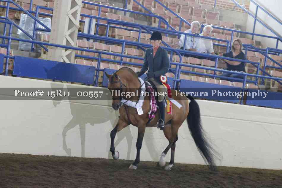Proof Number 15R11_00557