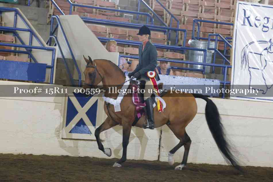 Proof Number 15R11_00559
