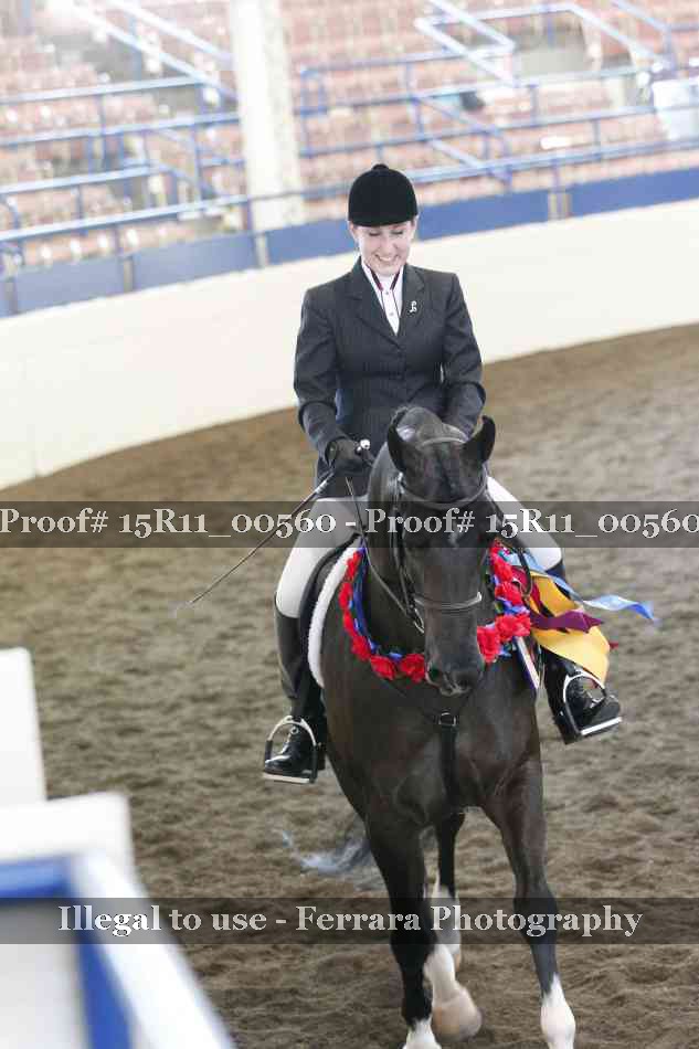 Proof Number 15R11_00560