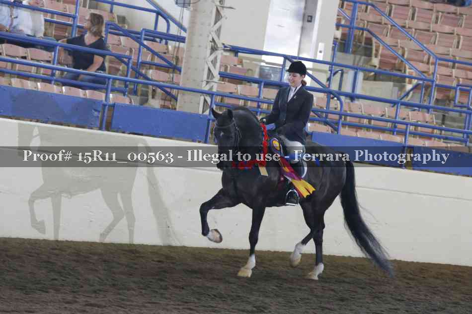 Proof Number 15R11_00563