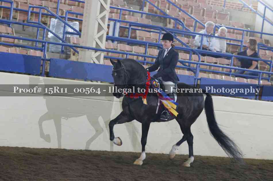 Proof Number 15R11_00564