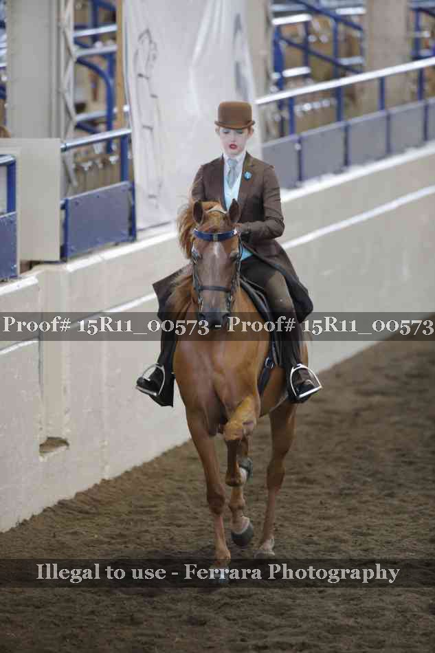 Proof Number 15R11_00573
