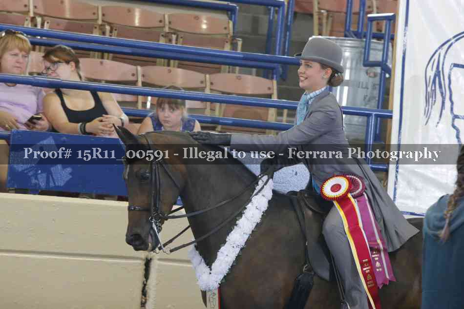 Proof Number 15R11_00591