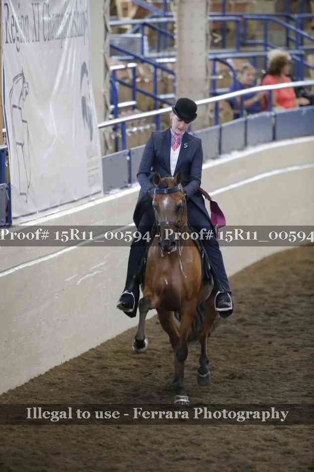 Proof Number 15R11_00594