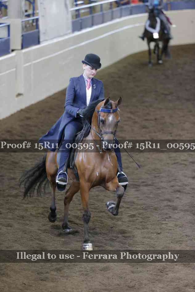 Proof Number 15R11_00595