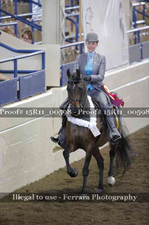 Proof Number 15R11_00598
