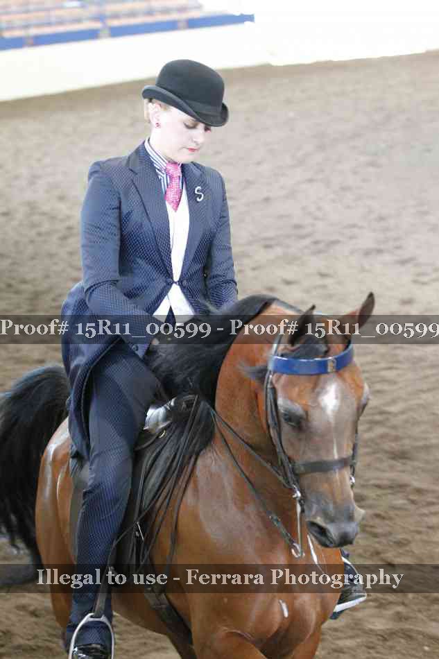 Proof Number 15R11_00599