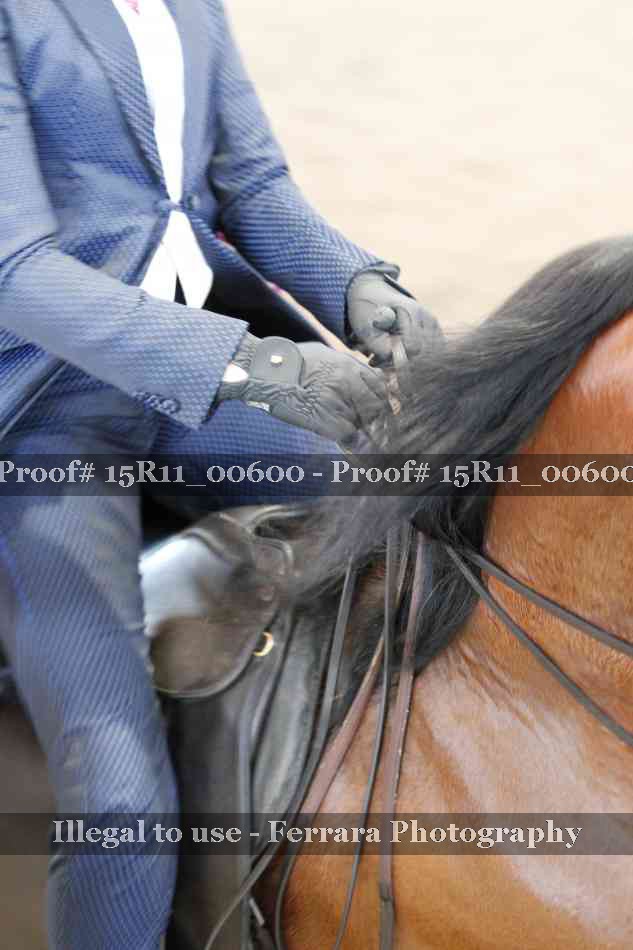 Proof Number 15R11_00600