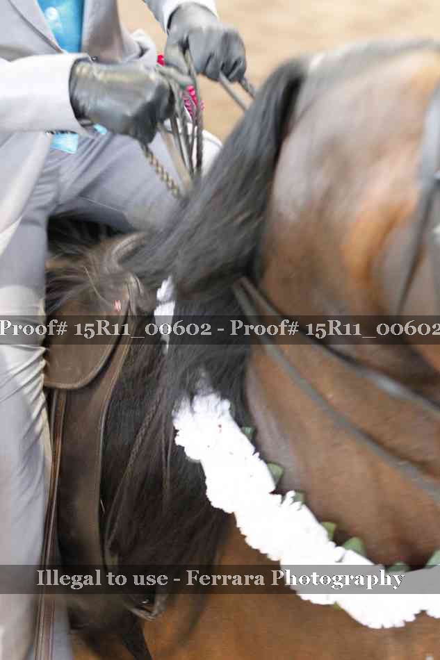 Proof Number 15R11_00602